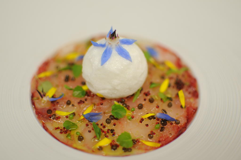 Hotel-Restaurant L'Aquarelle Breuillet  المظهر الخارجي الصورة